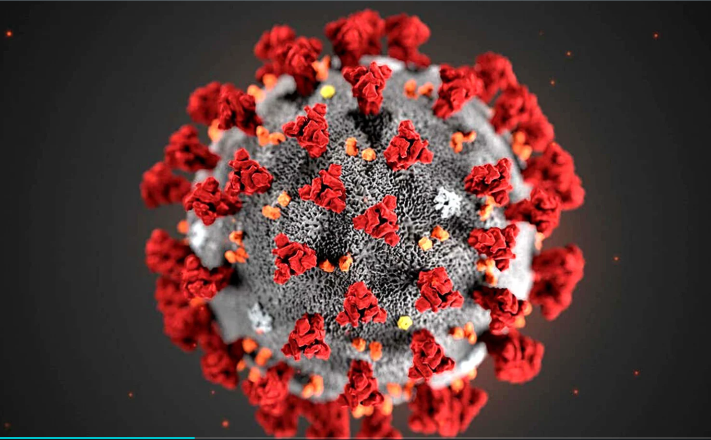 A circular shape of the Coronavirus, with triangular shapes protruding from its surface. The coronavirus can cause a physician disability and financial hardship long after a COVID diagnosis fades away.